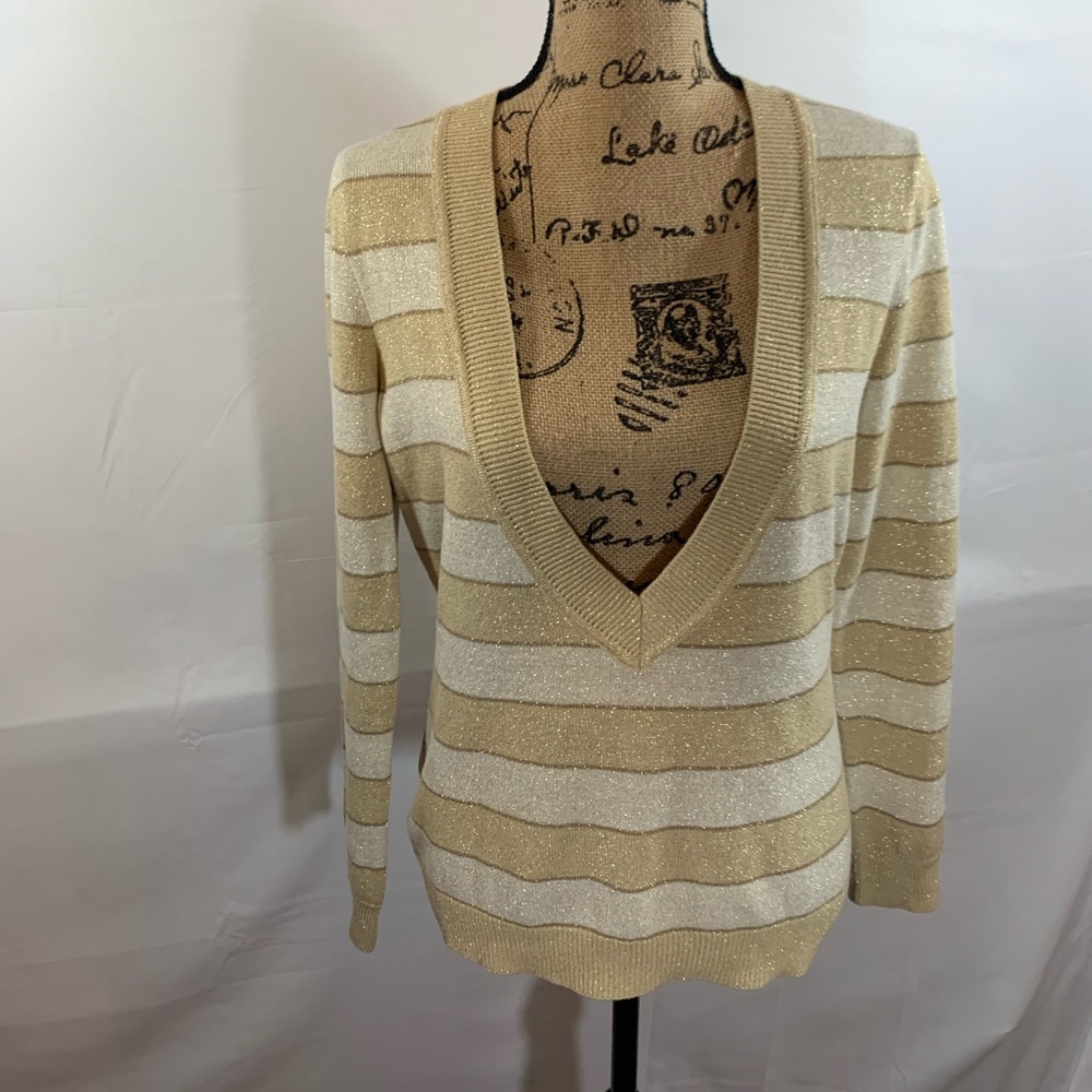 Sparkling V-neck Sweater